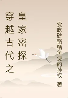穿越古代之皇家密探 封面