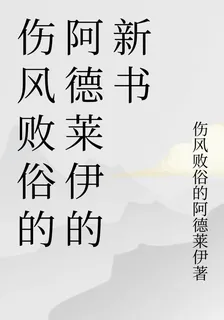 傷風敗俗的阿德萊伊的新書 封面