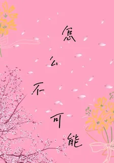 怎麼不可能 封面