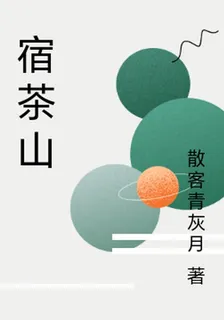 宿茶山 封面