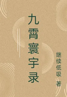 九霄寰宇錄 封面