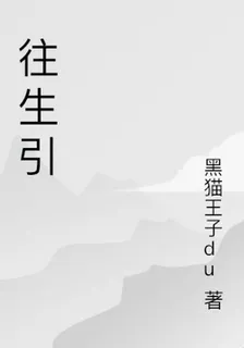 往生引 封面