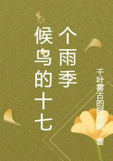候鳥的十七個雨季 封面
