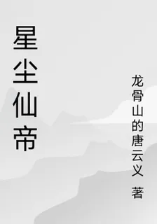 星塵仙帝 封面