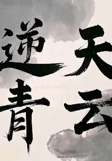 逆天青雲 封面