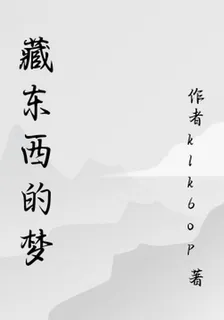 藏東西的夢 封面
