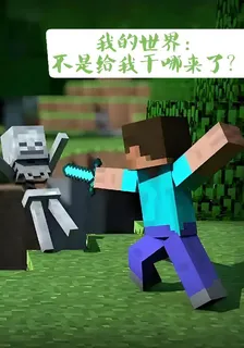 我的世界：不是給我幹哪來了？ 封面