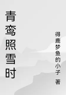 青鸞照雪時 封面