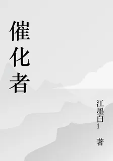 催化者 封面