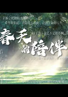 春天的陪伴 封面