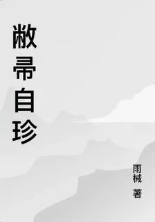 敝帚自珍 封面