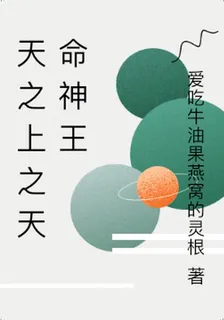 天之上之天命神王 封面