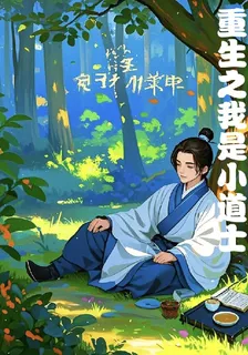 重生之我是小道士 封面