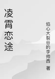 凌霄戀途 封面