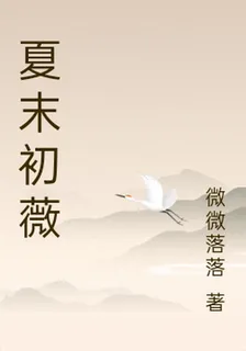 夏末初薇 封面