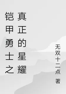 鎧甲勇士之真正的星耀 封面