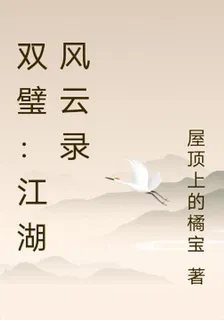雙璧：江湖風雲錄 封面