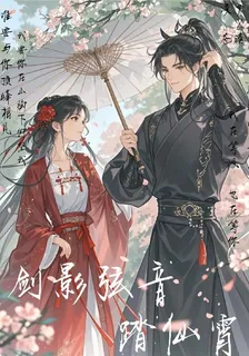 劍影絃音踏仙霄 封面