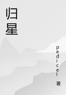 歸星河 封面