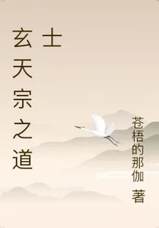玄天宗之道士 封面