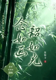 念如畫，韶如光 封面