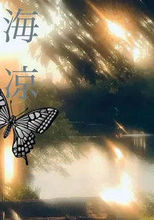 海涼 封面