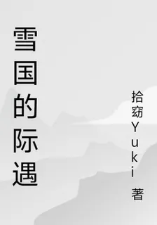 雪國的際遇 封面