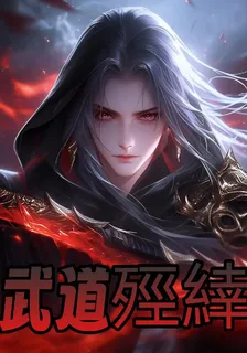 武道殌緈 封面