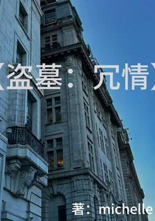 盜墓：冗情 封面
