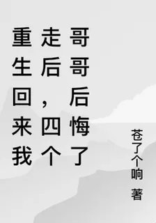 重生回來我走後，四個哥哥後悔了 封面