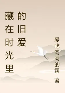 藏在時光裏的舊愛 封面