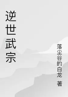 逆世武宗 封面