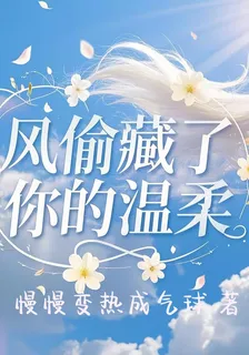 風偷藏了你的溫柔 封面