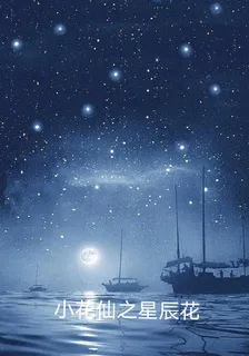 小花仙之星辰花 封面
