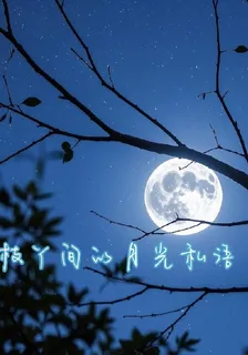 枝丫間的月光私語 封面