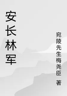 安長林軍 封面