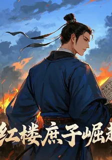 紅樓夢：庶子崛起 封面