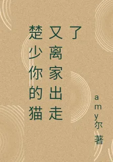 楚少你的貓又離家出走了 封面