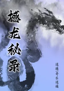 撼龍祕錄 封面