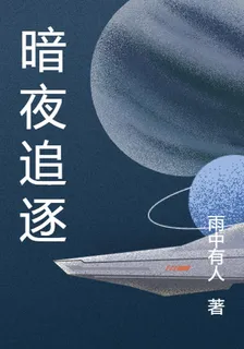 暗夜追逐 封面