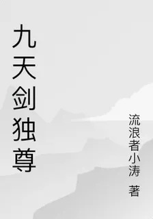 九天劍獨尊 封面