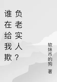 誰在給我欺負老實人？ 封面