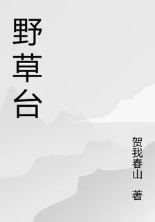 野草臺 封面