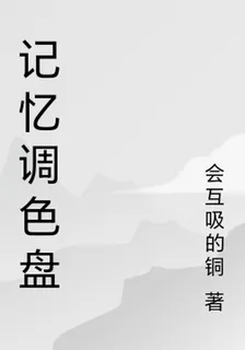 記憶調色盤 封面