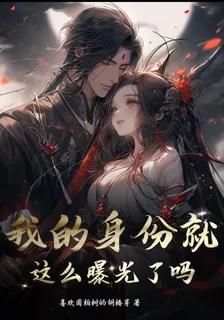 我的身份就這麼曝光了嗎 封面