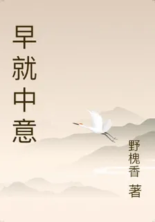 早就中意 封面