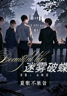 迷霧破蝶 封面