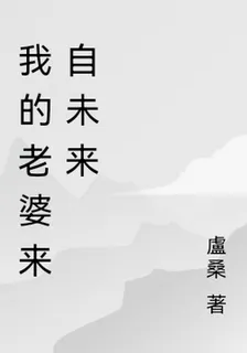 我的老婆來自未來 封面