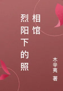 烈陽下的照相館 封面