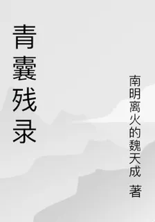 青囊殘錄 封面
